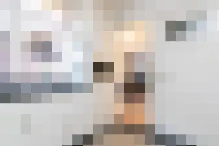 Bokhamerstraat 1 l Tilburg thumbnail 12