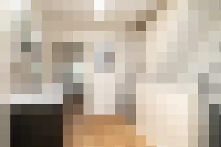 Bokhamerstraat 1 l Tilburg thumbnail 26