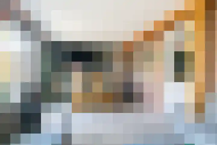 Bokhamerstraat 1 l Tilburg thumbnail 38