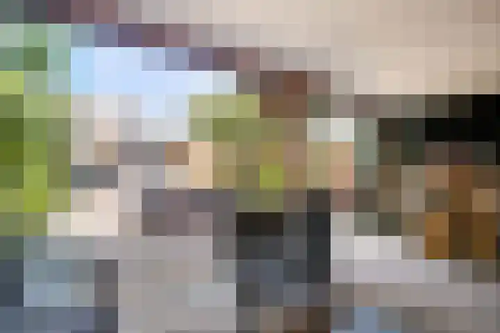 Bokhamerstraat 1 l Tilburg thumbnail 39