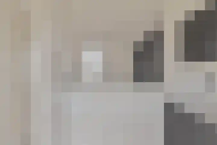 Bokhamerstraat 44 Tilburg thumbnail 12