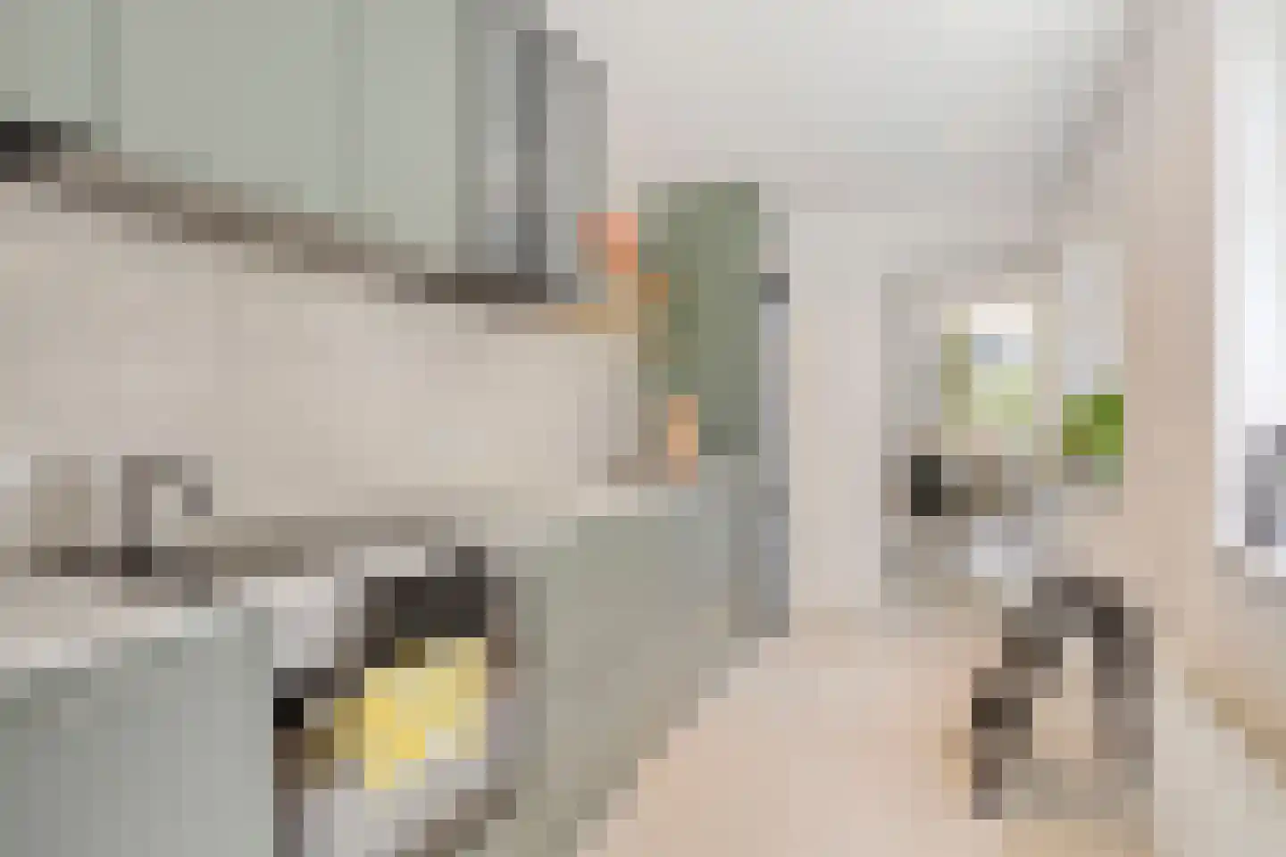 Bokhamerstraat 47 Tilburg thumbnail 16