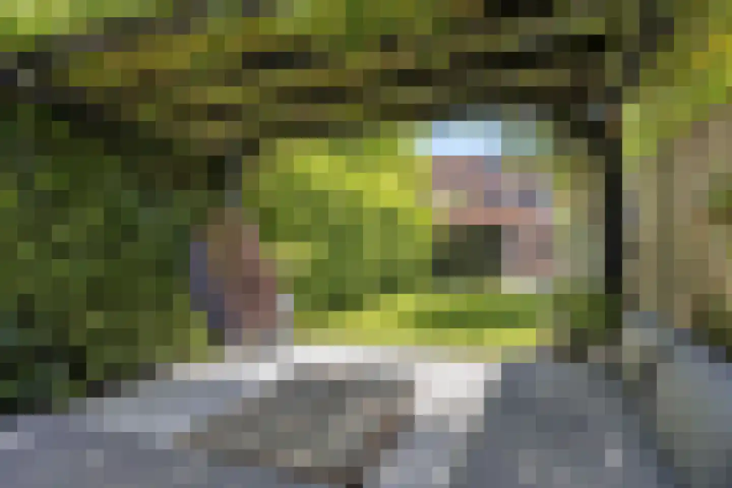 Bokhamerstraat 47 Tilburg thumbnail 31