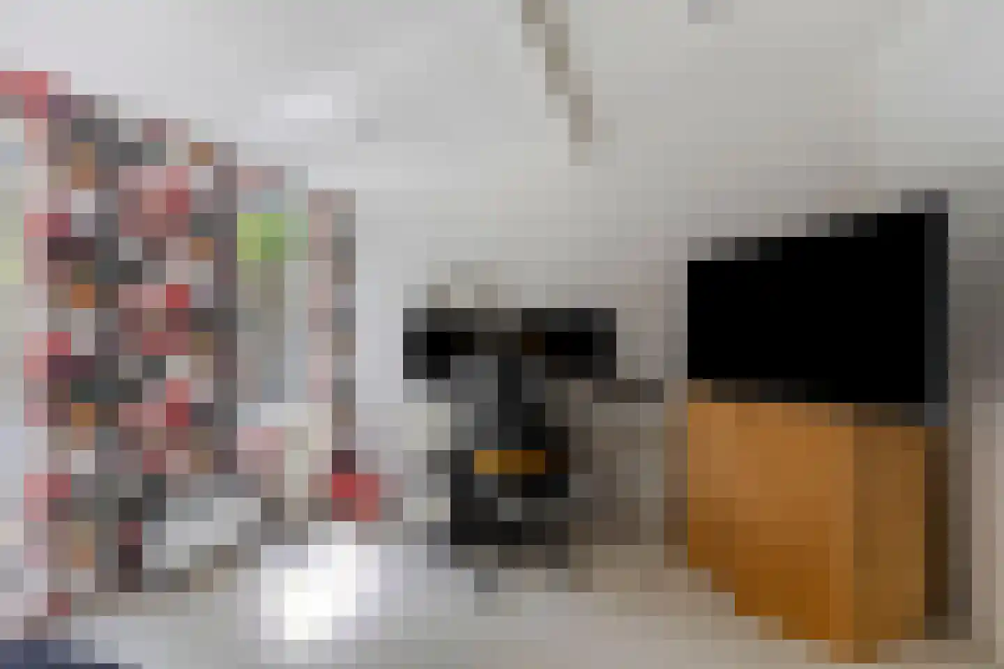 Bokhamerstraat 47 Tilburg thumbnail 32