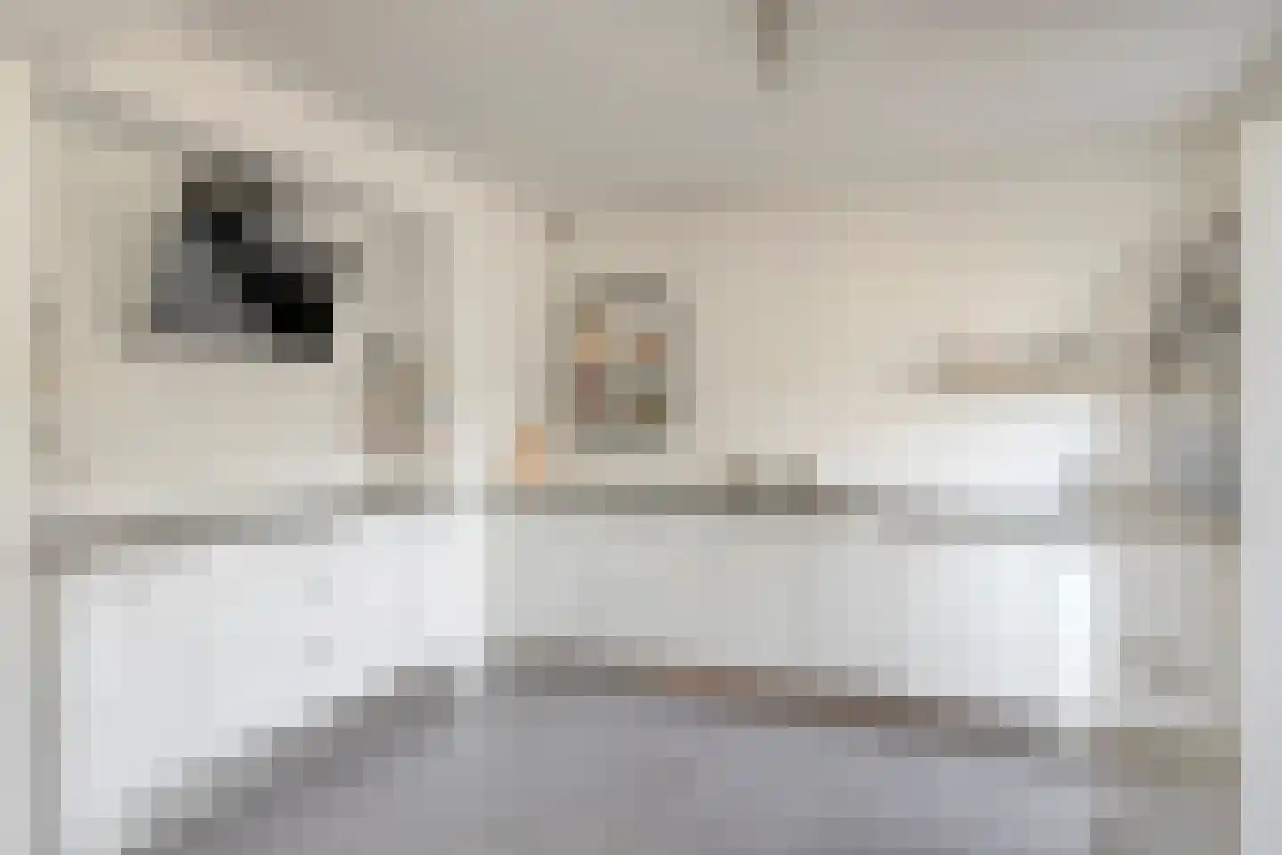 Bokhamerstraat 9 Tilburg thumbnail 11