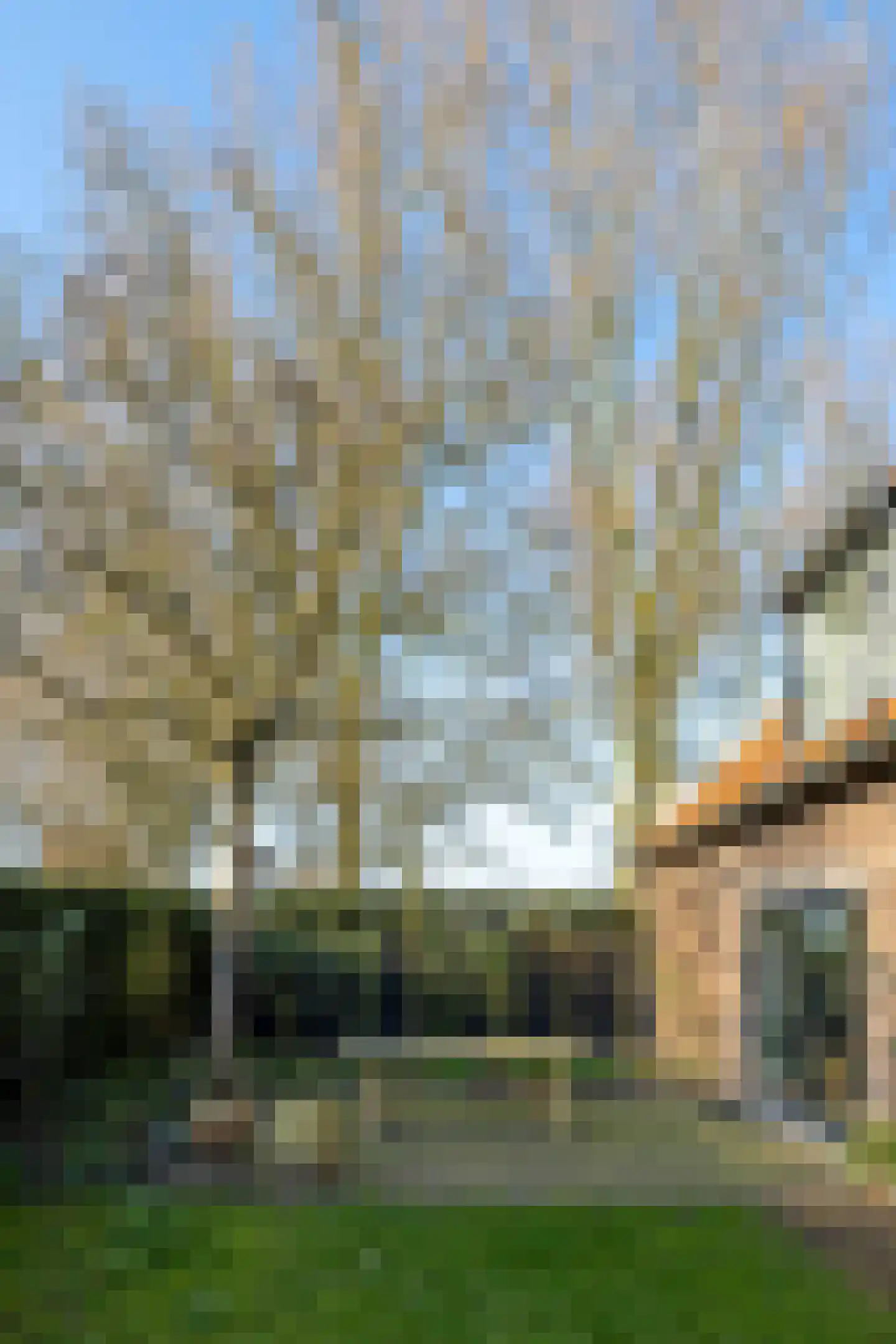Bokhovense Maasdijk 4 's-Hertogenbosch thumbnail 16