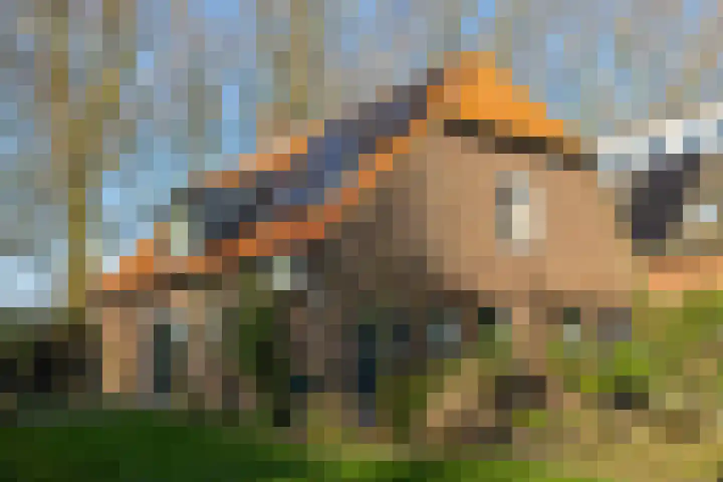 Bokhovense Maasdijk 4 's-Hertogenbosch thumbnail 17