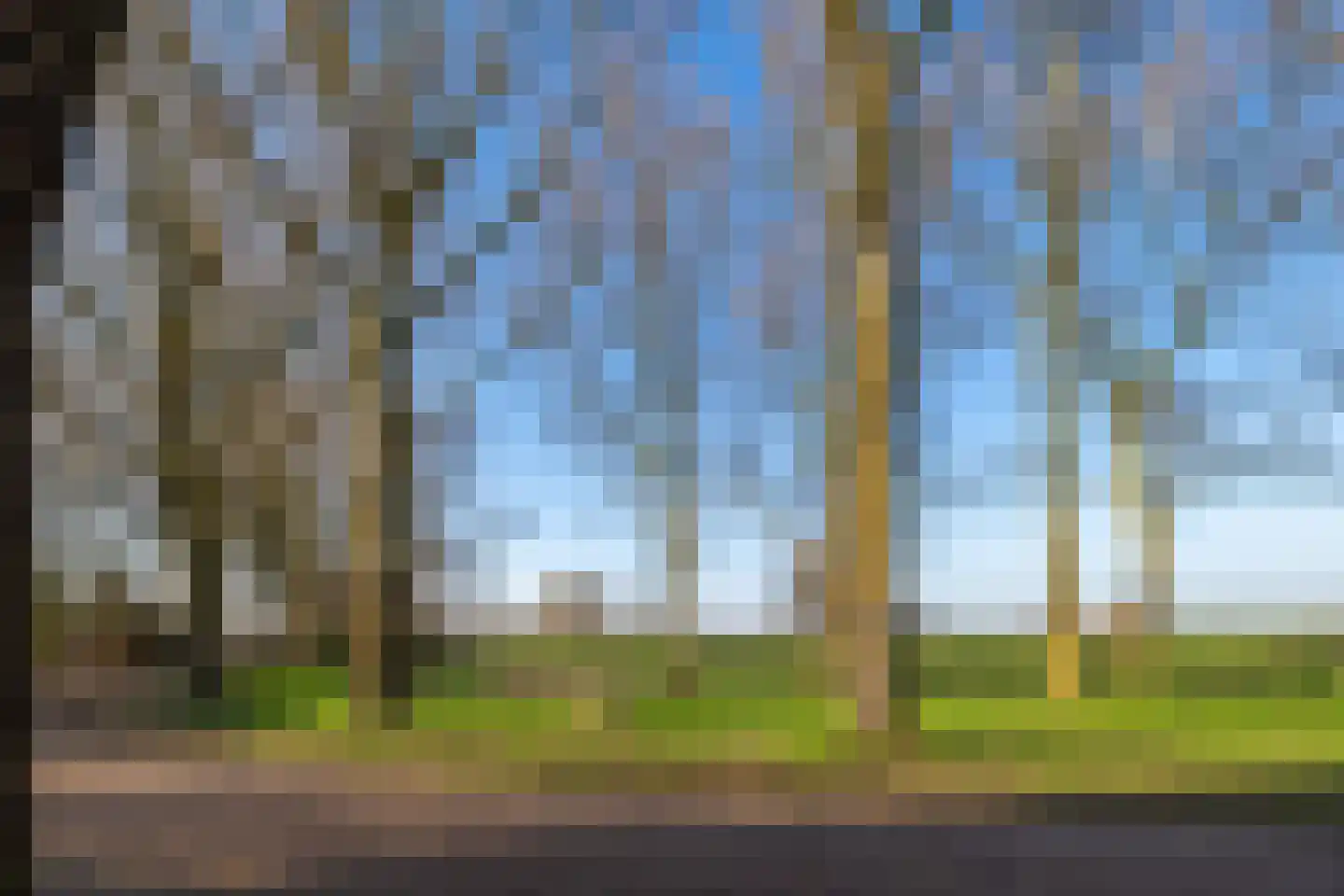 Bokhovense Maasdijk 4 's-Hertogenbosch thumbnail 30