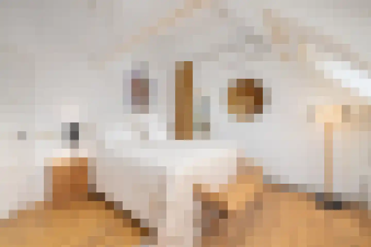 Bokhovense Maasdijk 4 's-Hertogenbosch thumbnail 34