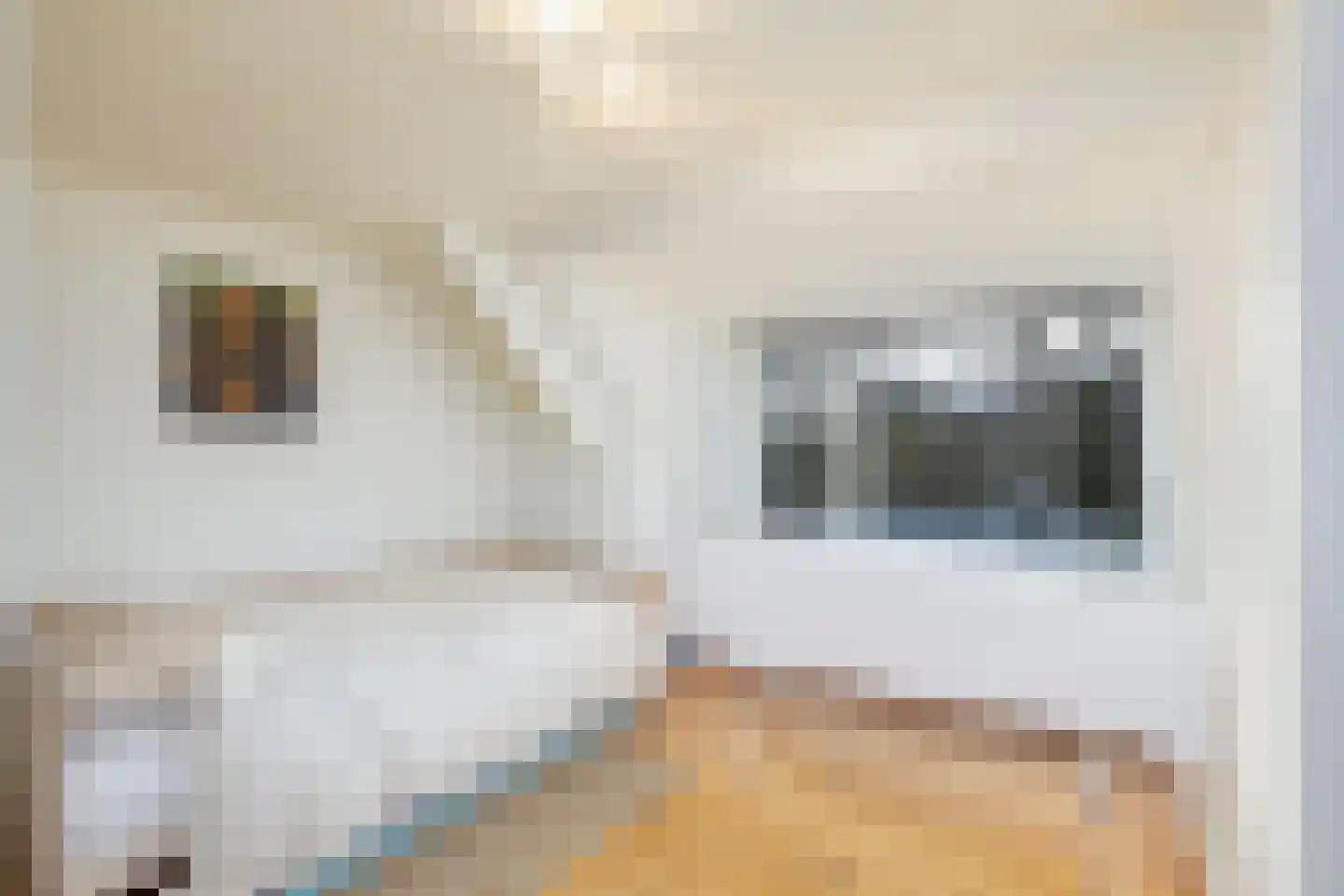 Bokhovense Maasdijk 4 's-Hertogenbosch thumbnail 38