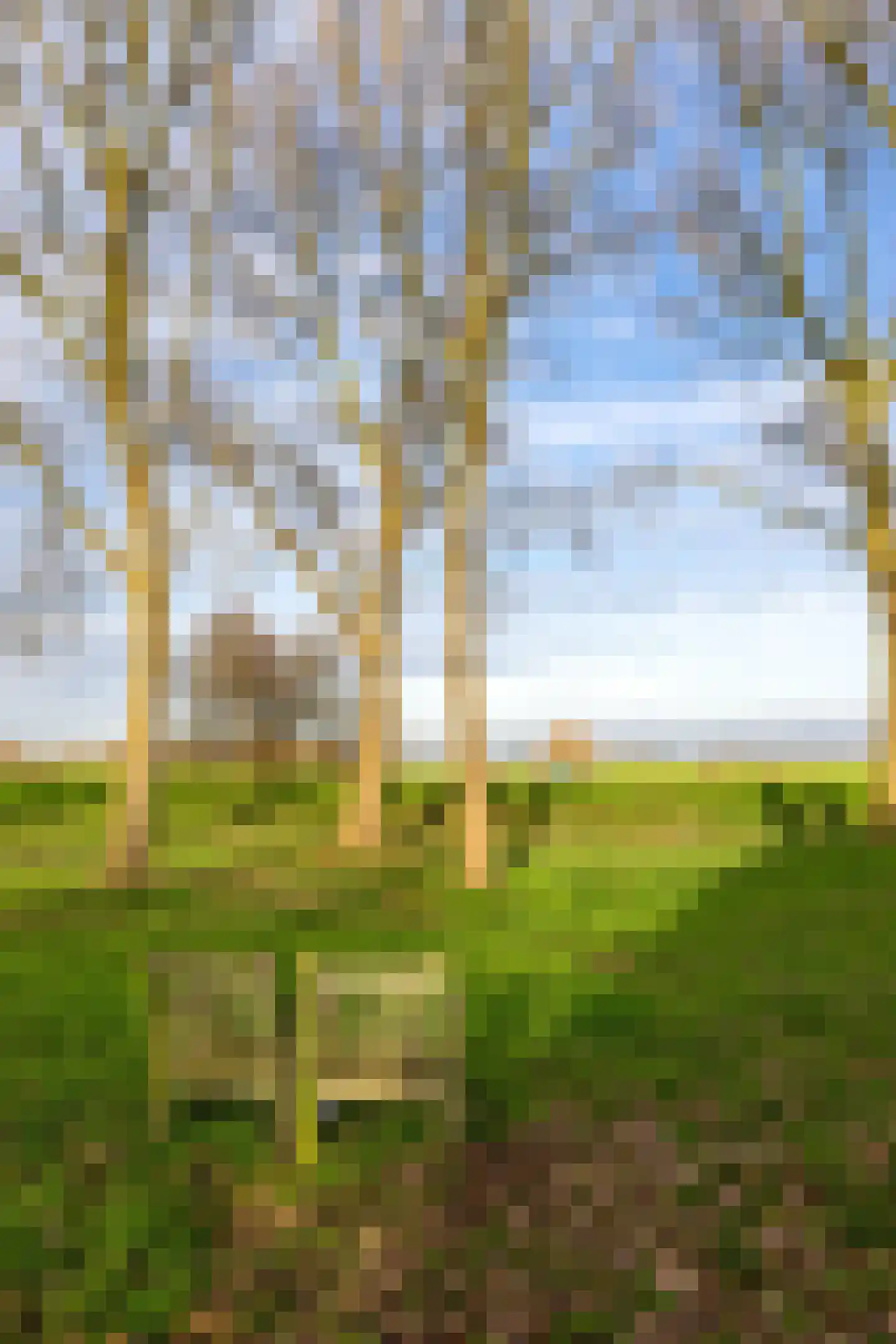 Bokhovense Maasdijk 4 's-Hertogenbosch thumbnail 43