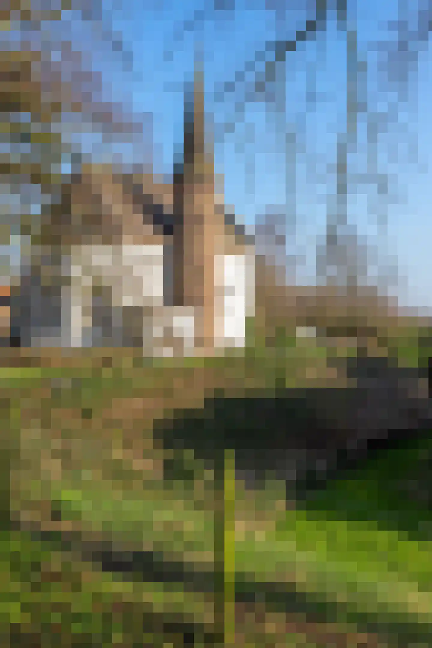 Bokhovense Maasdijk 4 's-Hertogenbosch thumbnail 48