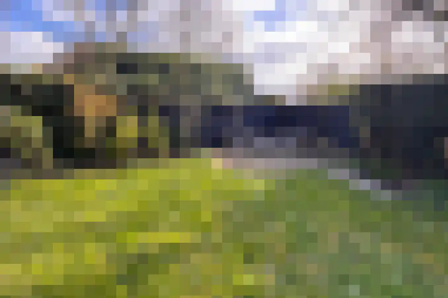 Bokhovense Maasdijk 4 's-Hertogenbosch thumbnail 56