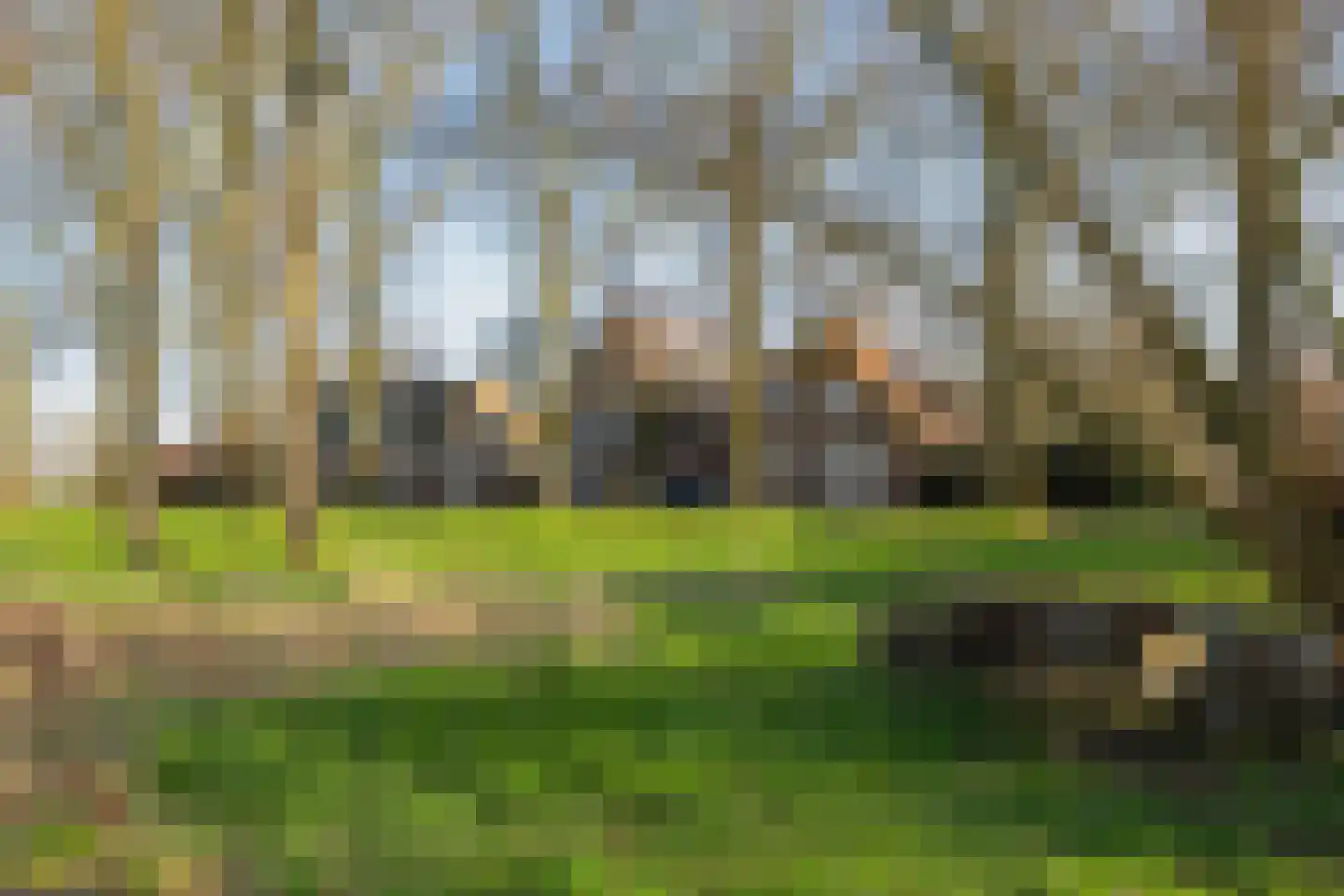Bokhovense Maasdijk 4 's-Hertogenbosch thumbnail 6