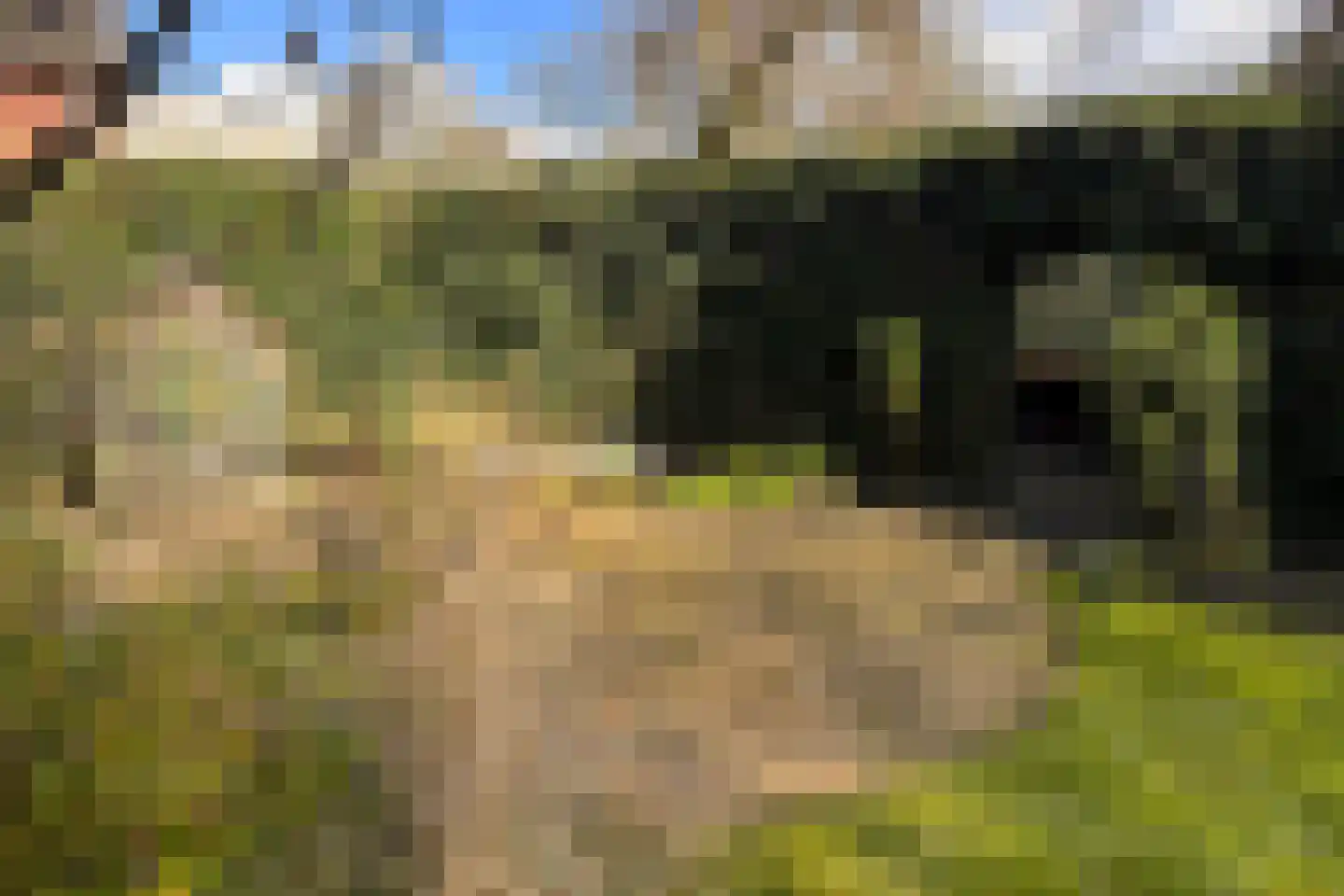 Bokhovense Maasdijk 4 's-Hertogenbosch thumbnail 61