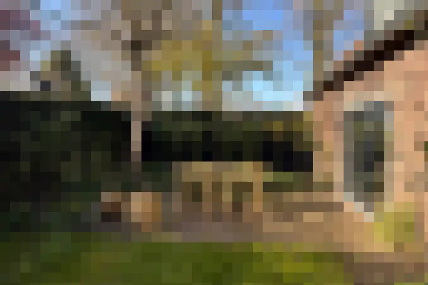 Bokhovense Maasdijk 4 's-Hertogenbosch thumbnail 63