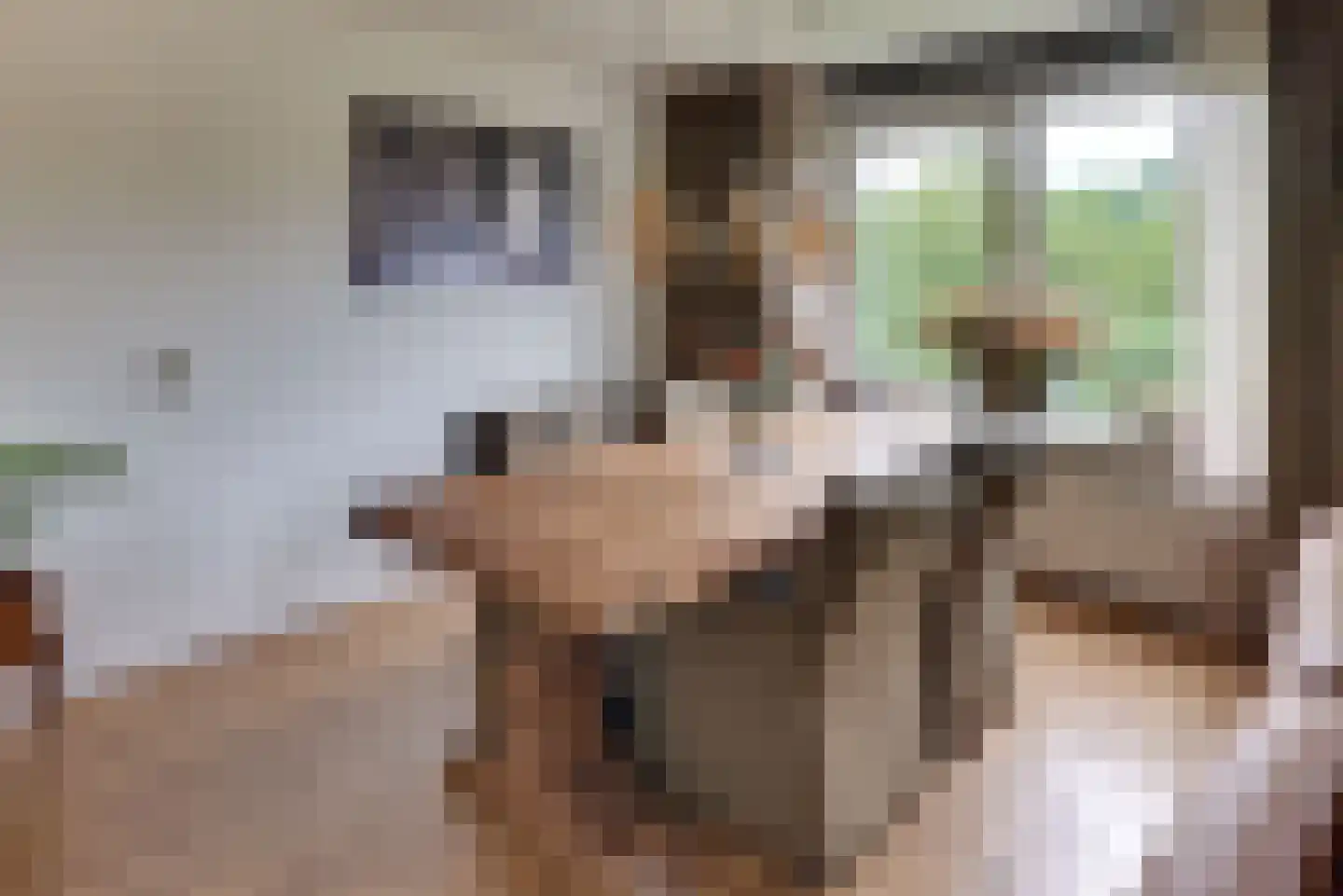 Bokkekamp 48 Harderwijk thumbnail 17
