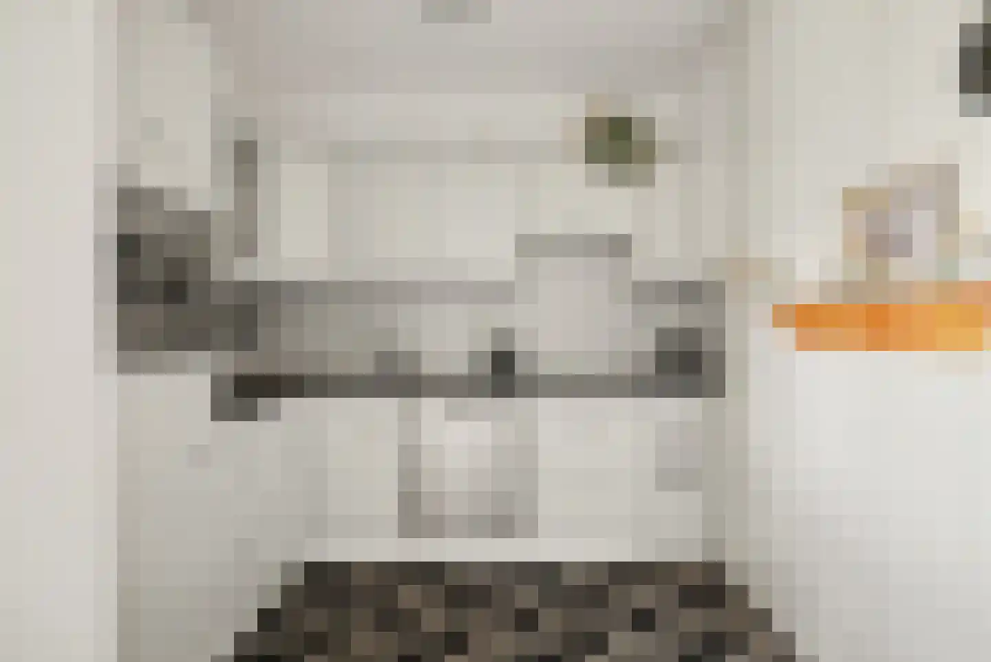 Bokkekamp 52 Harderwijk thumbnail 12