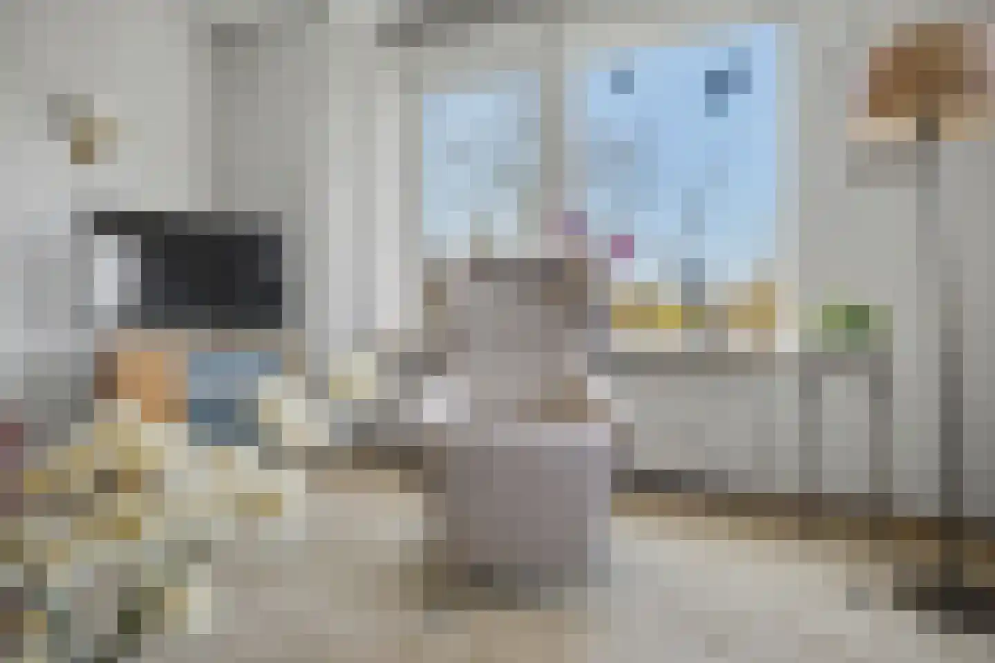 Bokkekamp 52 Harderwijk thumbnail 16