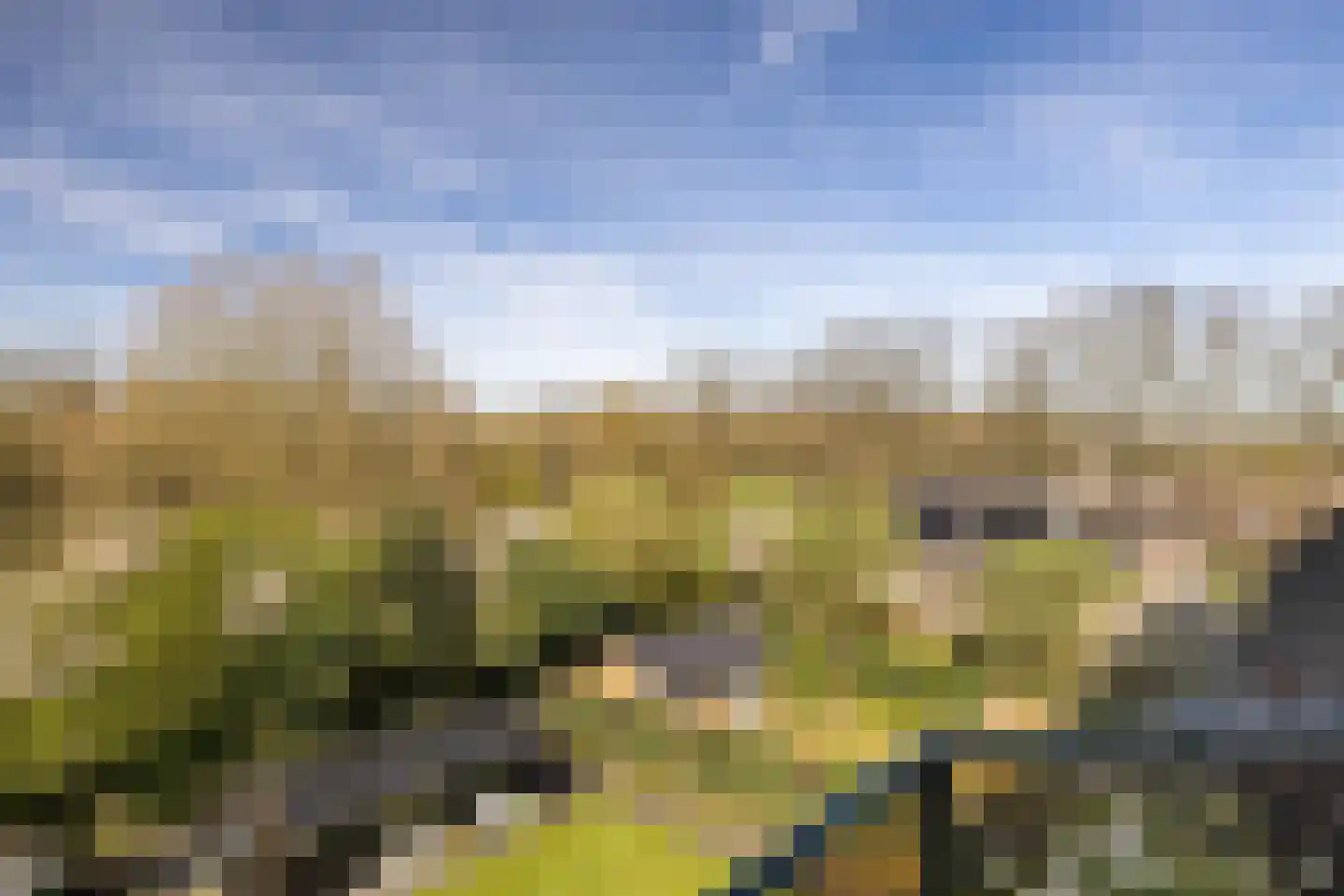 Bokkekamp 52 Harderwijk thumbnail 22