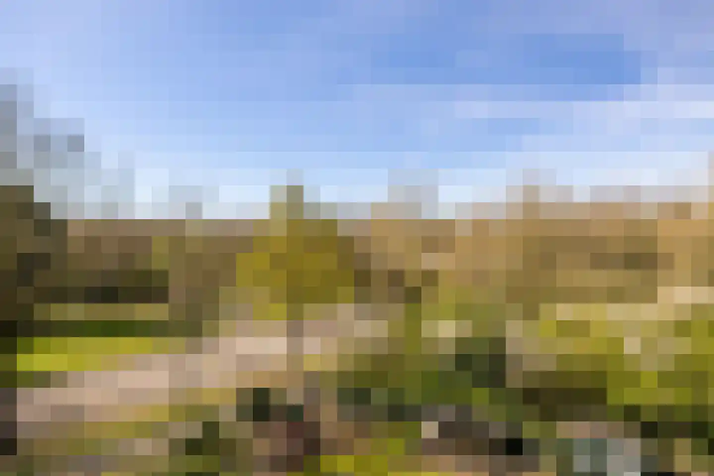 Bokkekamp 52 Harderwijk thumbnail 23