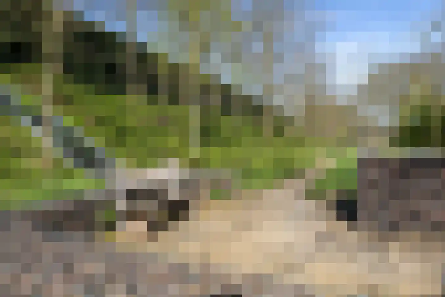 Bokkekamp 52 Harderwijk thumbnail 34