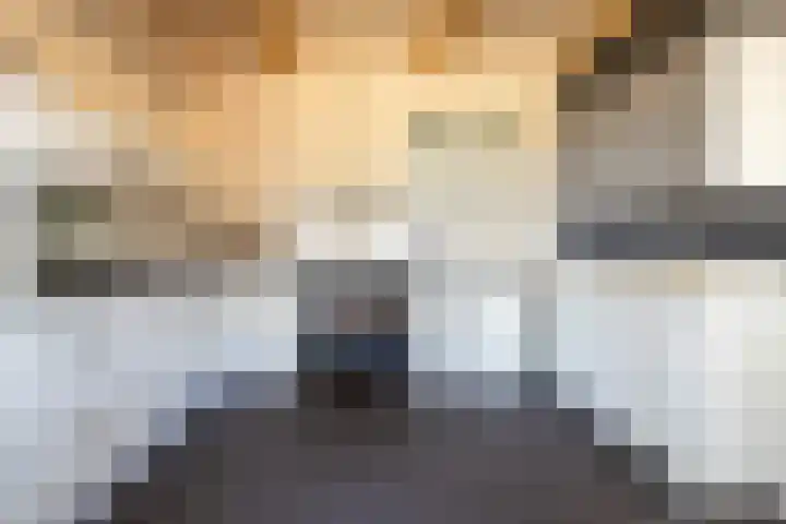 Bokkeleane 1 Oudega thumbnail 13