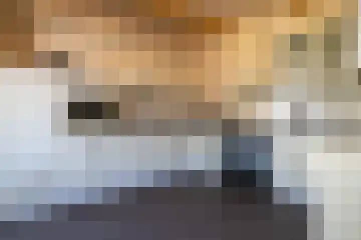 Bokkeleane 1 Oudega thumbnail 14