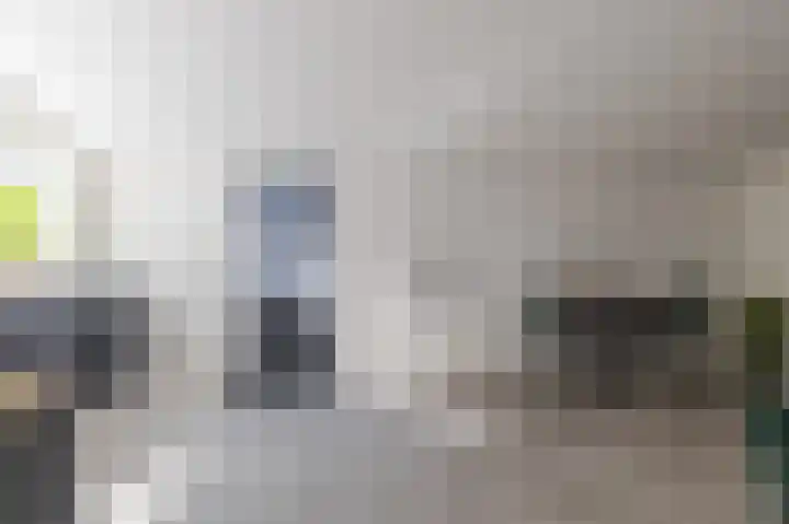 Bokkeleane 1 Oudega thumbnail 25