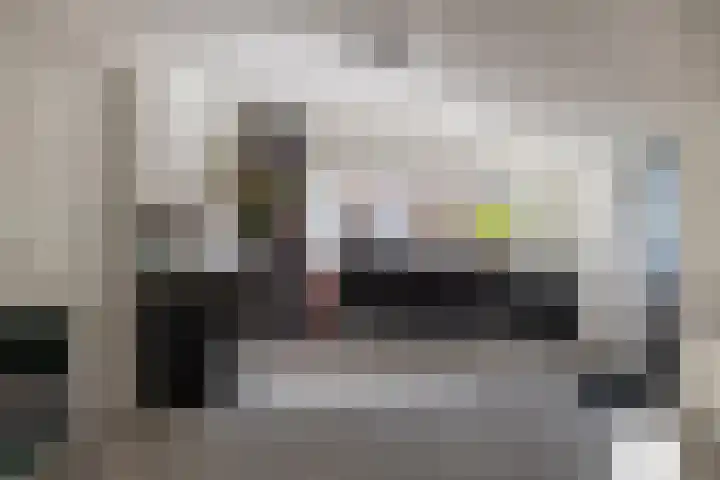 Bokkeleane 1 Oudega thumbnail 26