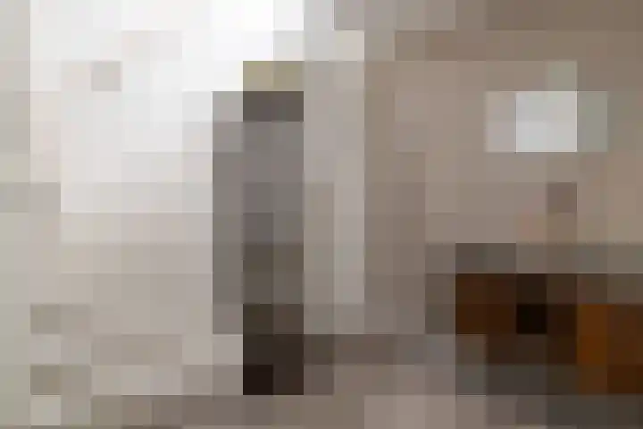 Bokkeleane 1 Oudega thumbnail 27