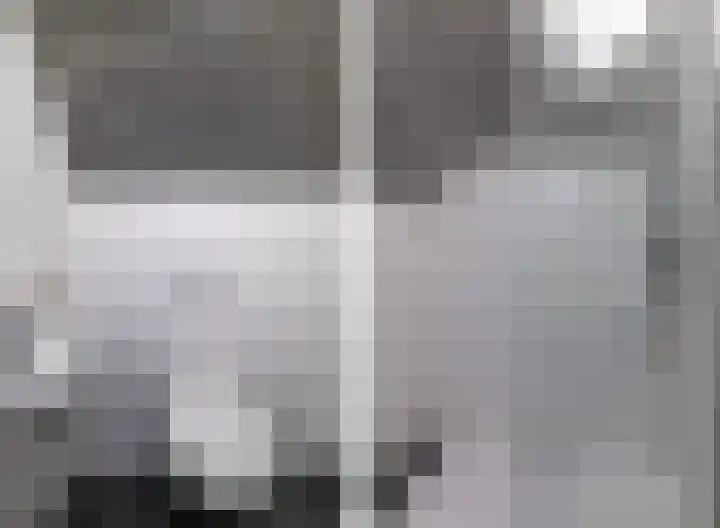 Bokkeleane 1 Oudega thumbnail 30