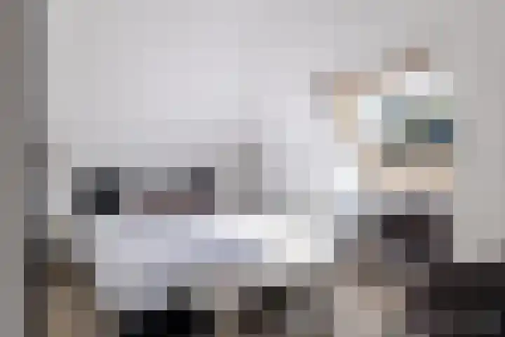 Bokkeleane 1 Oudega thumbnail 31