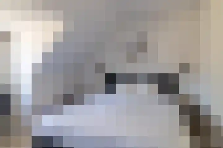 Bokkeleane 1 Oudega thumbnail 34