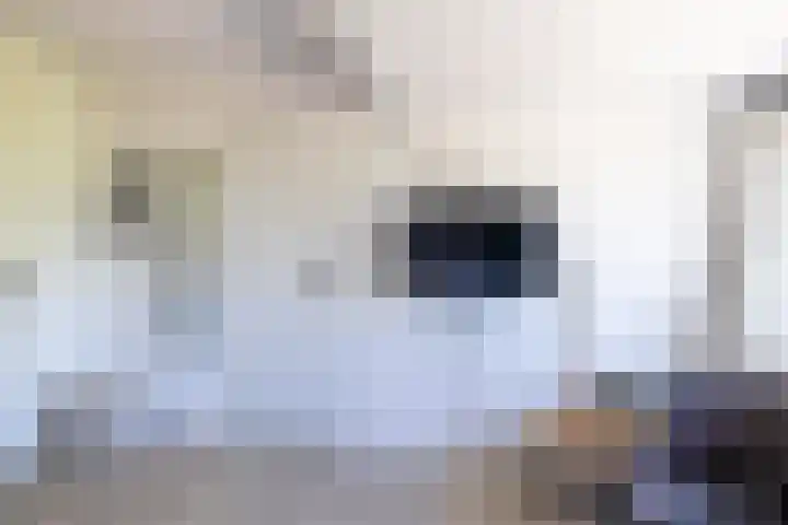 Bokkeleane 1 Oudega thumbnail 35