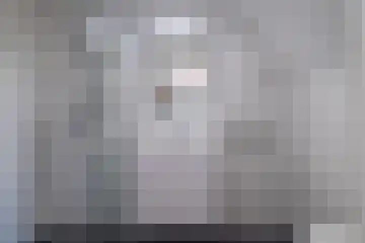 Bokkeleane 1 Oudega thumbnail 36