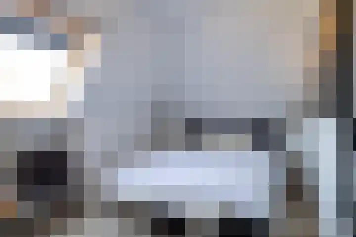 Bokkeleane 1 Oudega thumbnail 37