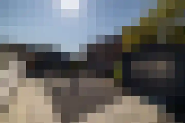Bokkeleane 1 Oudega thumbnail 40