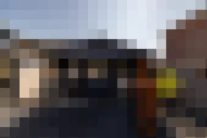 Bokkeleane 1 Oudega thumbnail 41