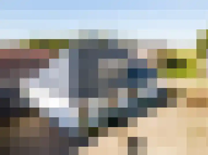 Bokkeleane 1 Oudega thumbnail 44