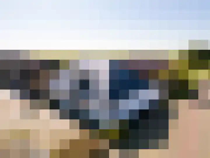 Bokkeleane 1 Oudega thumbnail 45
