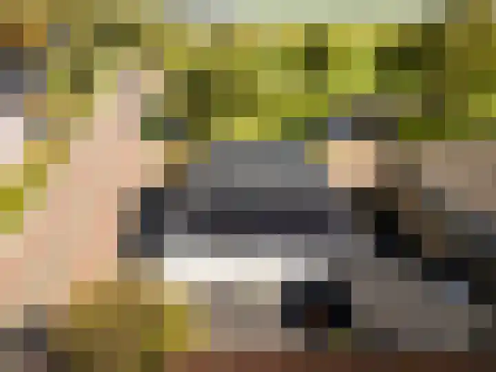 Bokkeleane 1 Oudega thumbnail 47