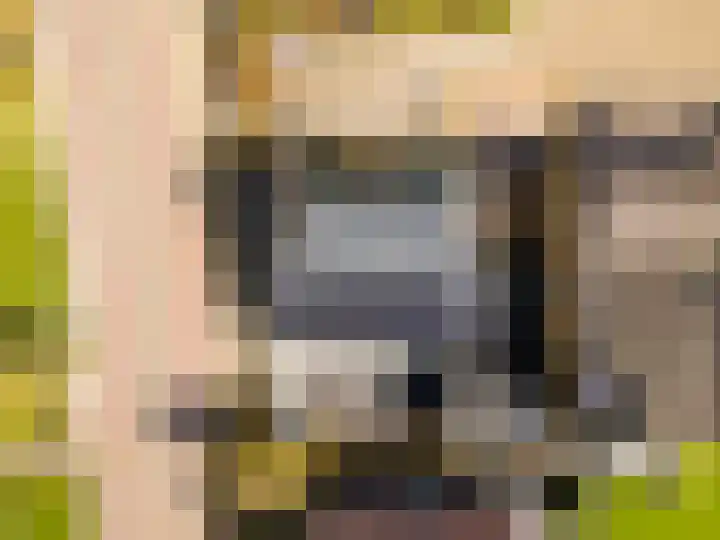 Bokkeleane 1 Oudega thumbnail 48