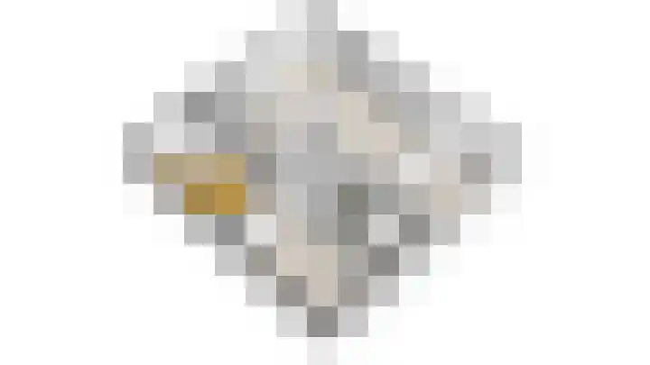 Bokkeleane 1 Oudega thumbnail 50