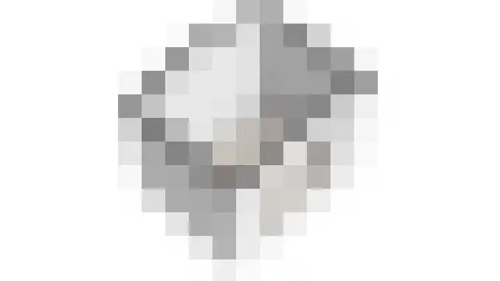 Bokkeleane 1 Oudega thumbnail 54