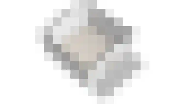 Bokkeleane 1 Oudega thumbnail 56