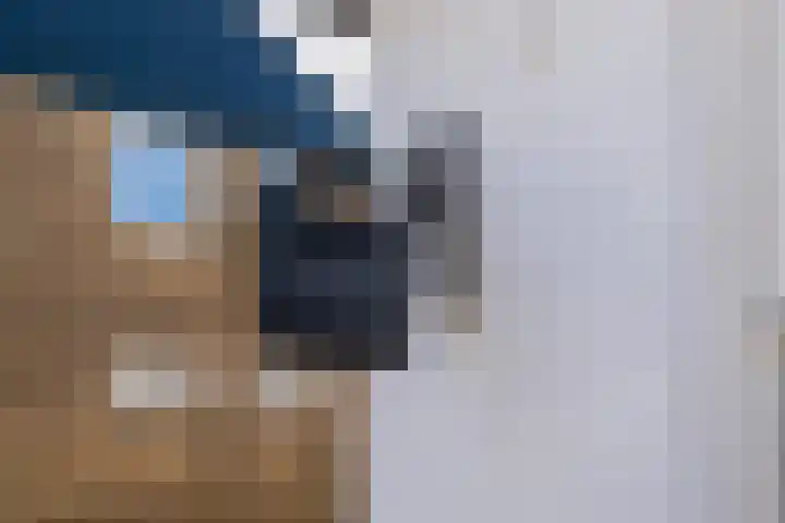 Bokkeleane 1 Oudega thumbnail 6
