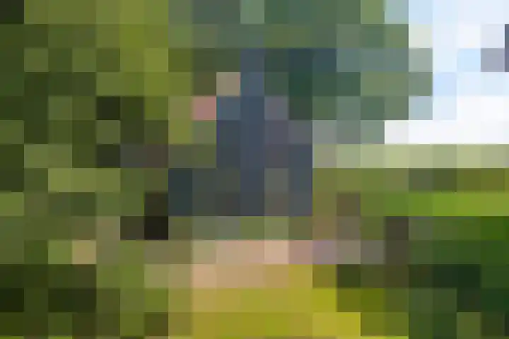 Bokkeleane 2 Oudega thumbnail 10