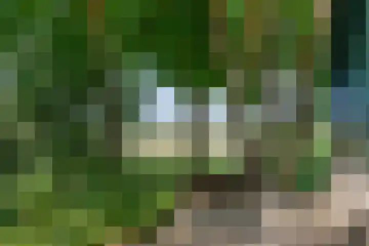 Bokkeleane 2 Oudega thumbnail 11