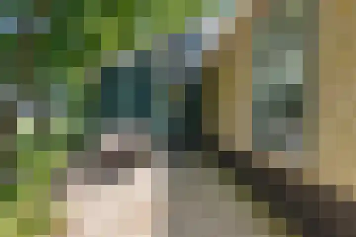 Bokkeleane 2 Oudega thumbnail 12